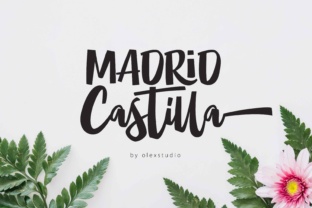 MADRID Castilla: A Bold Script Font for Web Headers