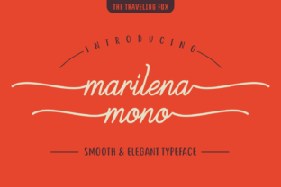 Marilena Mono: A Clean Typeface for Branding