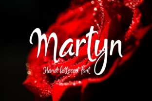 Martyn: A Modern Script Font for Web Design