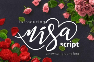 Nisa Font Review: Elevating Campaign Visuals