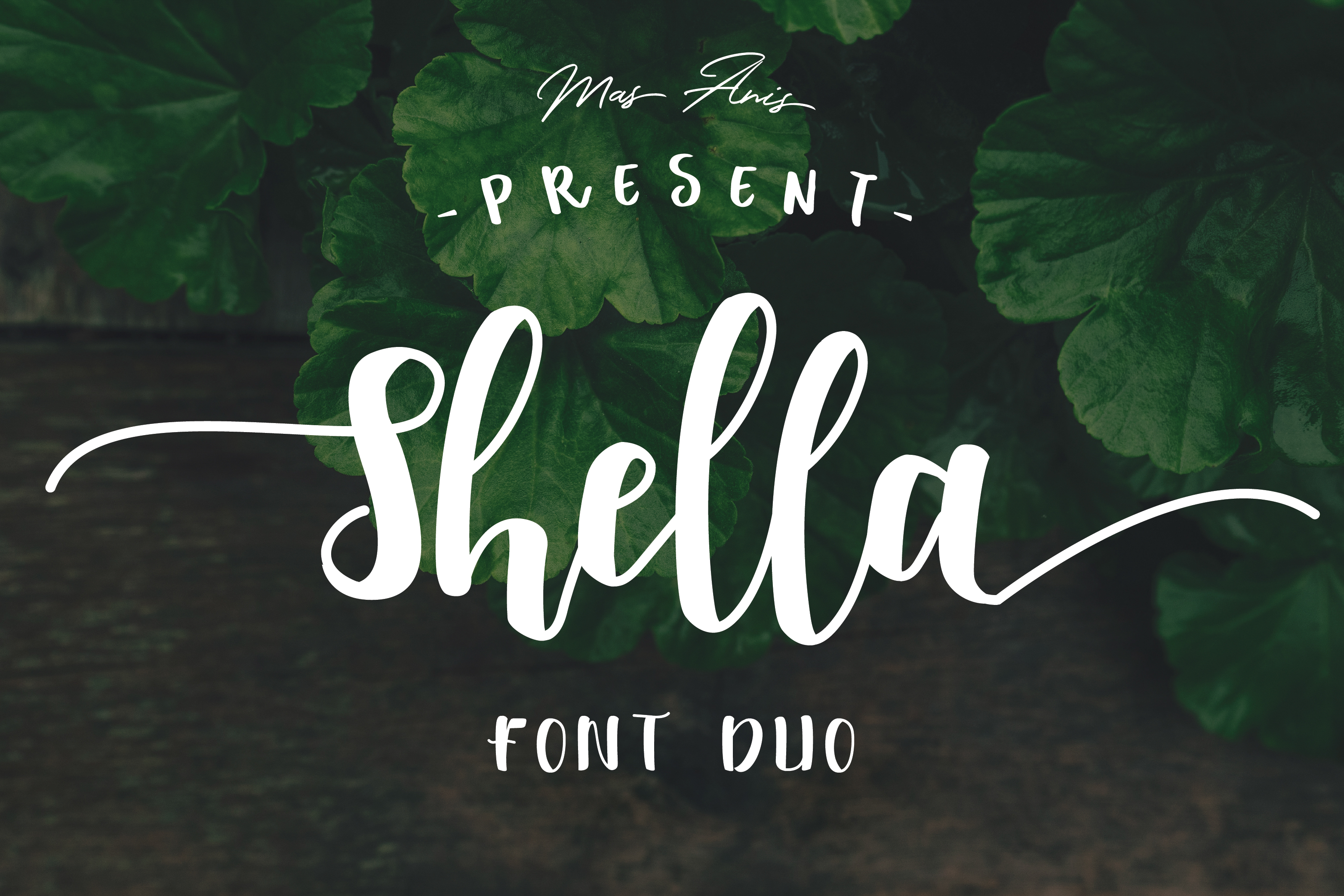 Shella Font: A Warm Script for Modern Web Design