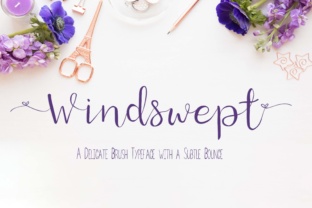 Windswept: A Delicate Script Font for Editorial Design
